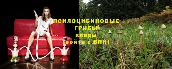 МДМА Новозыбков